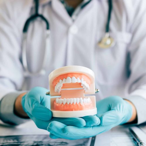 Dentist holding dentures in office room.